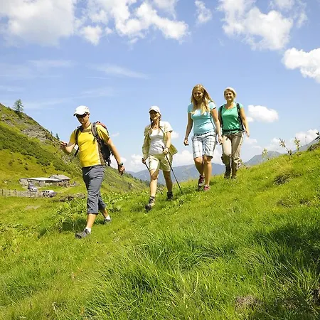 Almliesl Zell-411 Zell am See